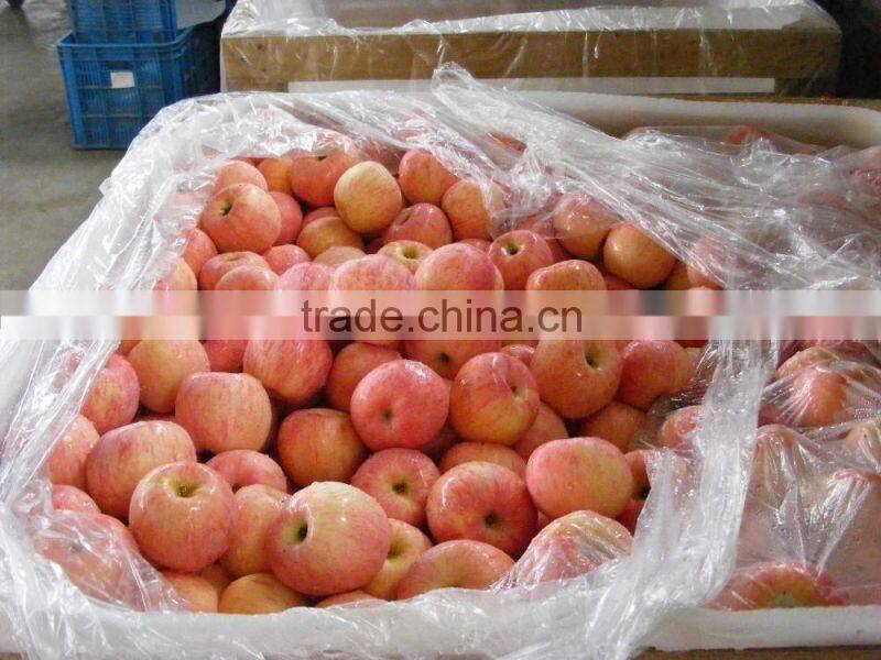 Red Color Fuji apple Fresh Style fruits fresh fuji apple fruit for sale Fuji apple exporter in China