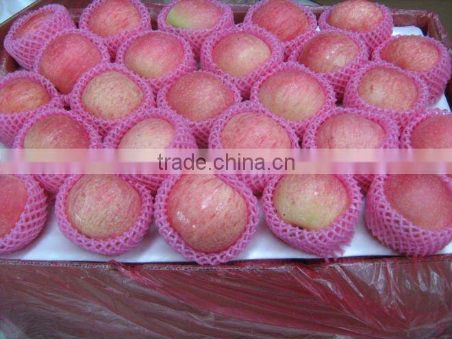 Golden Delicious Apple