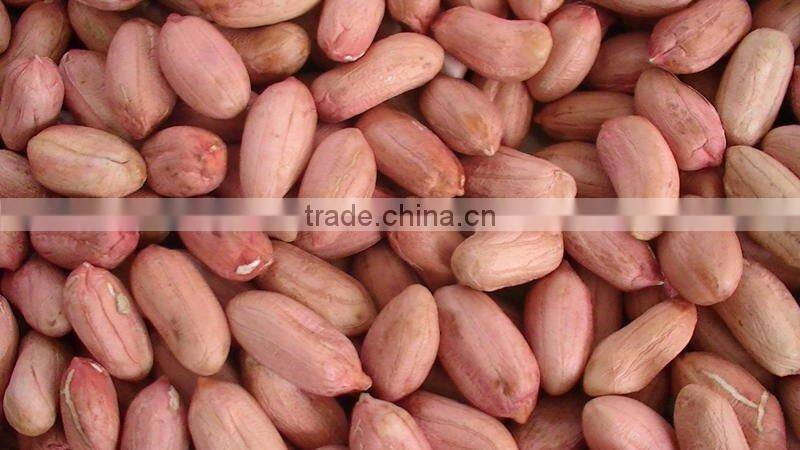raw peanut in shell