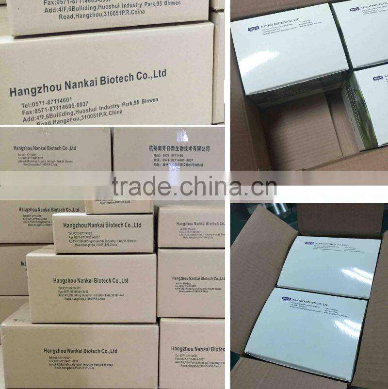 Food Detective Test Kit Sulfonamide Diagnostic Test Strip for Milk
