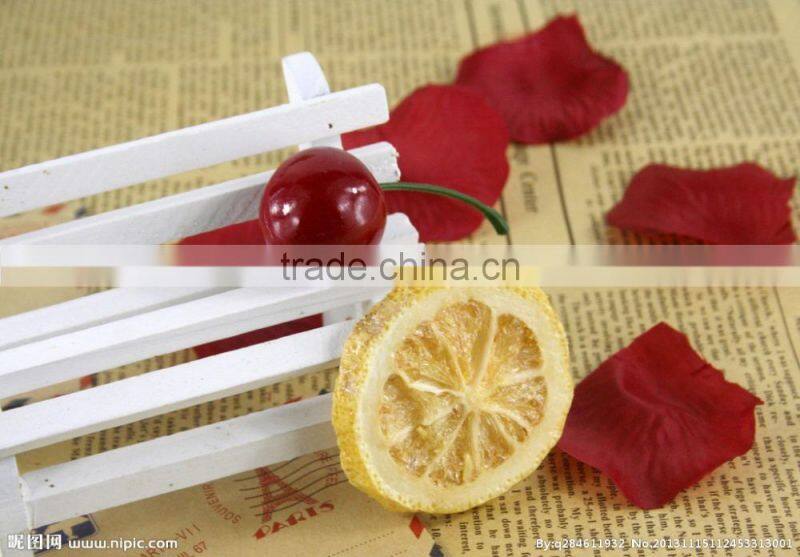 Food Vacuum Freeze drying Lyophilizer Machine