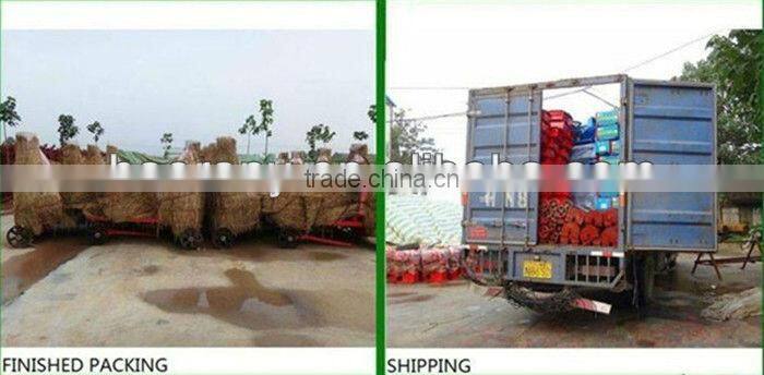 hot sale motor drive ensiling chaff cutter