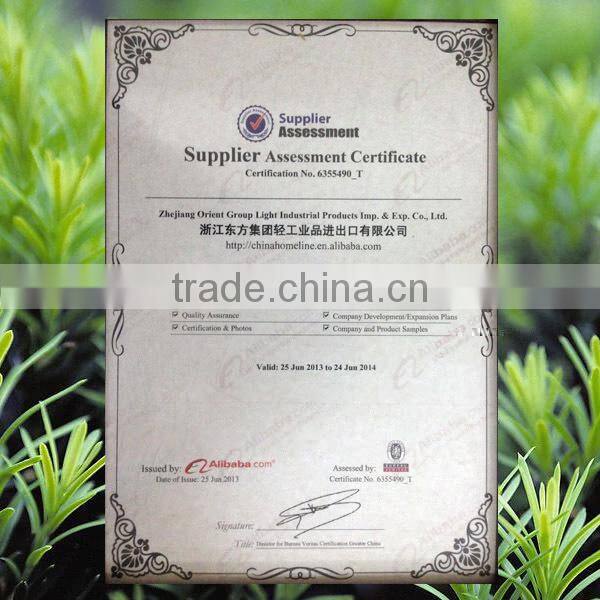 water sports children inflatable surfboard SWI00014-1