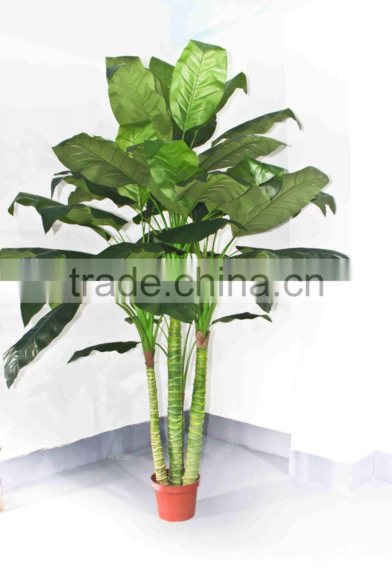 Oramental green bonsais