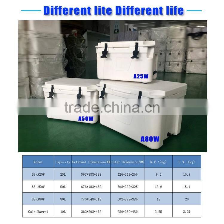 Rotomoulding Thermal Insulated Dry Ice Container
