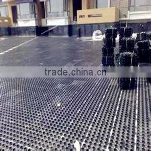 Storage and Drainage Board For Hanging Gardens and Roof gardens Plastic inter layer Board