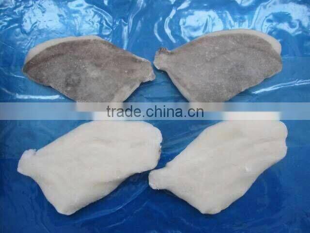 Frozen moonfish fillets