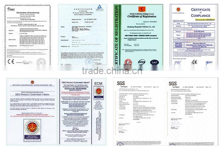 professional downhill mountain bike folding electric mountain bike