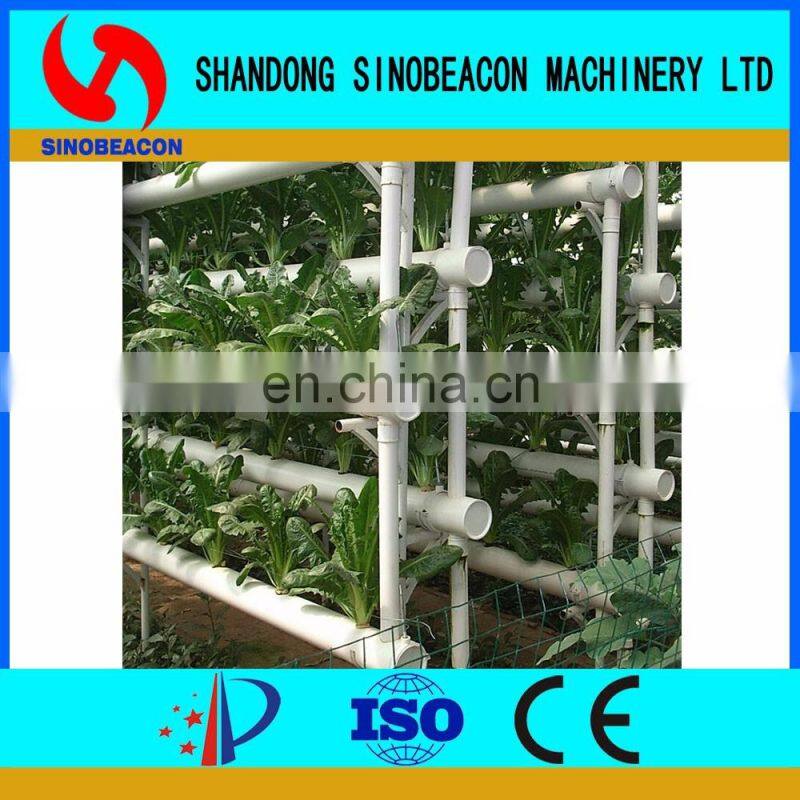 Hydroponic Lettuce Gutter Systems