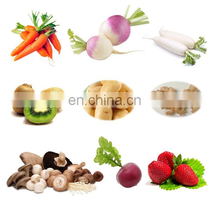 Industrial Palm Dates Brush Washer Prickly Pear Carrot Washer Ginger Potato Peeling Vegetable Washing Machine