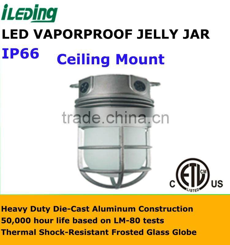 110-277V 12W LED Vaporproof Glass Globe Cast Guard with Ceiling Mount Bracket