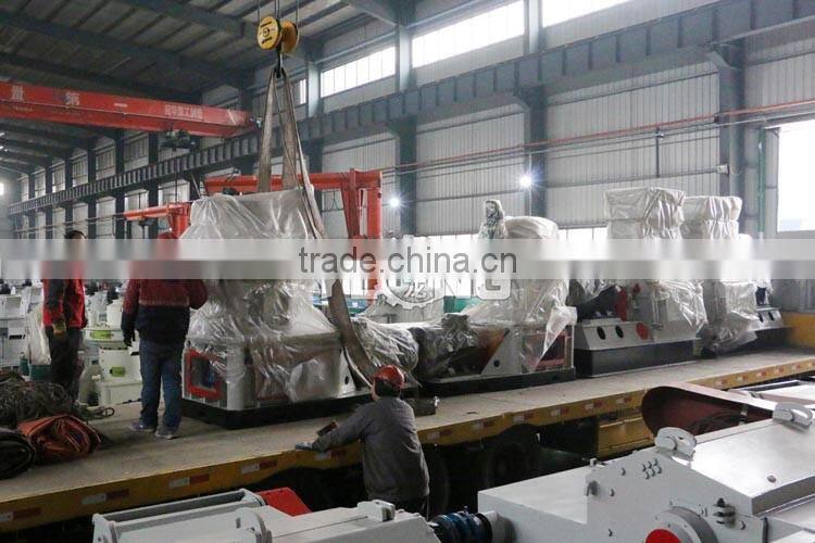 wood sawdust pelletizing machine/pellet mill