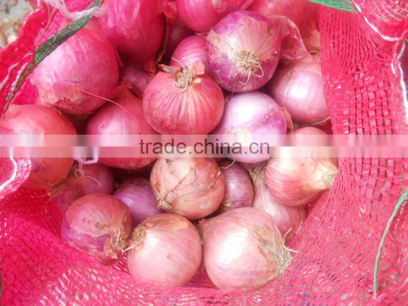 2015 Chinese fresh red shallot Onion