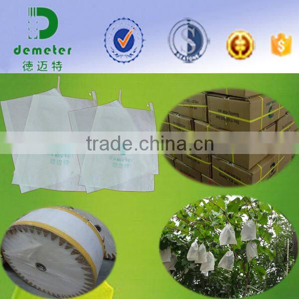 Apple Pear Mango Guava Grape Fruit Protection Waterproof Custom Made Paper Bags