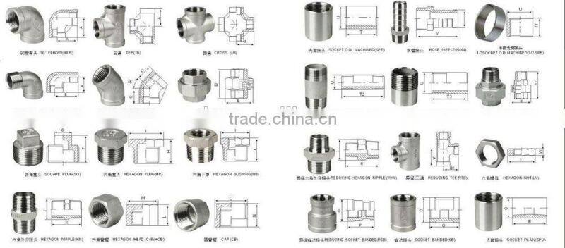 Stainless Steel Threaded Pipe Fittings Square Plug
