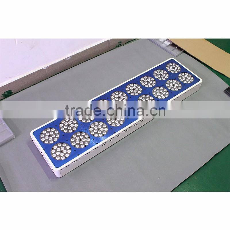 best selling products led full spectrum greenhouse led grow light red and blue 6:1 grow led light with 1000watt 