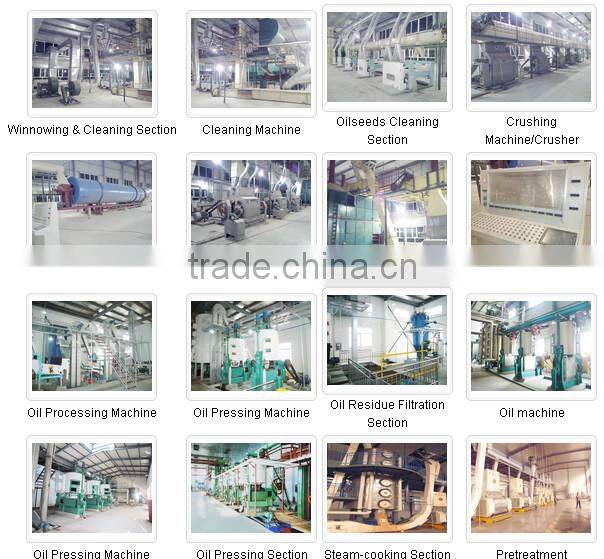 Small Scale Sunflower Oil Making Machine with CE