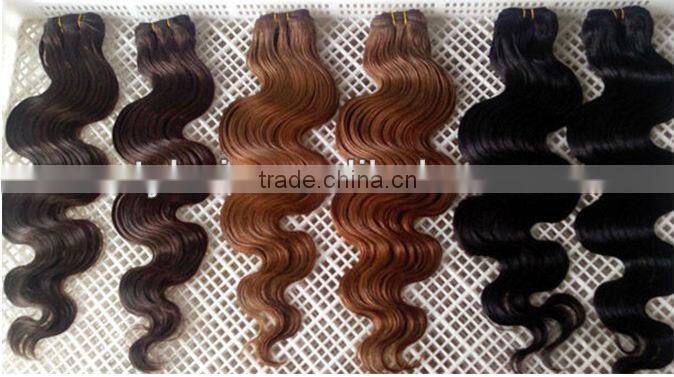 Brazilian Virgin Kinky Curly Hair Extention