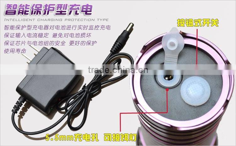 Aluminum rechargeable Night Fishing Light LED fishing light