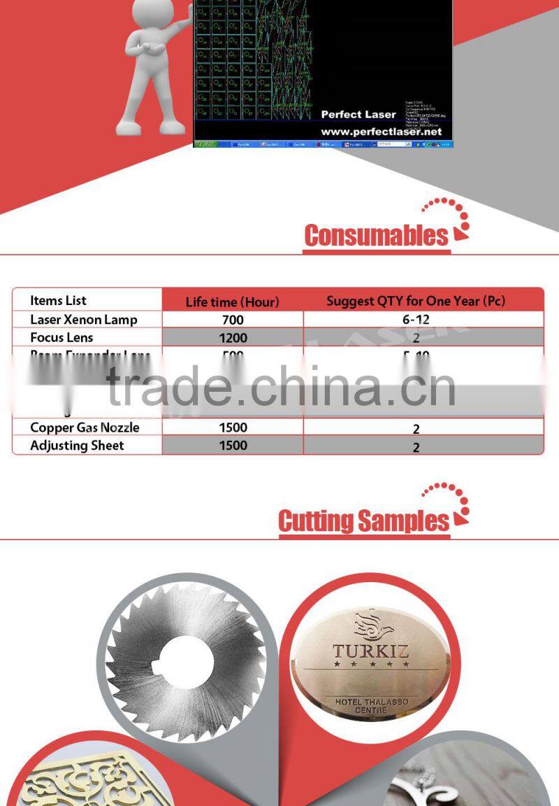 Perfect Laser 500W PE-M500-2513 YAG Metal Laser Cutting Machine