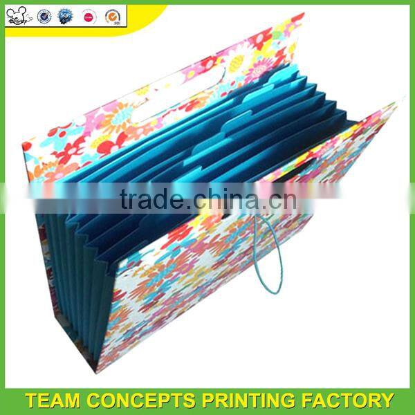 School decorative expanding file folders
