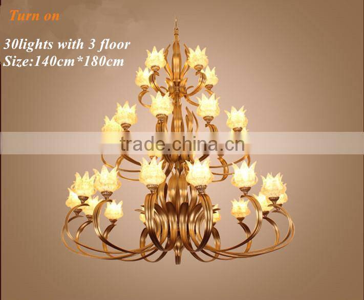 Special Metal Iron Chandelier Pendant lighting