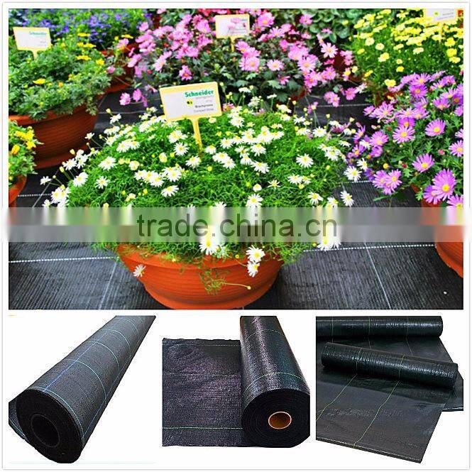green/black weed control Mat for the agricultural