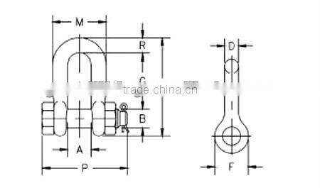 U.S. Type D Shackle with Safety PIN G2150