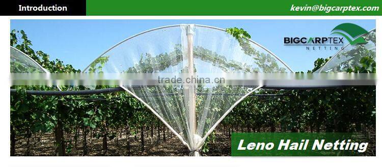 43 grm HDPE Agriculture Leno anti hail net