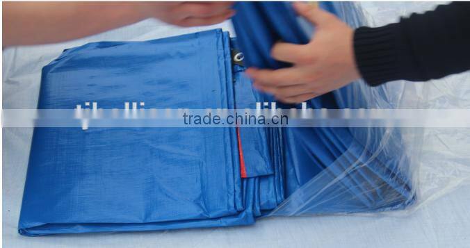 POLYETHYLENE-TARP-8FT-X-10FT Blue Tarp