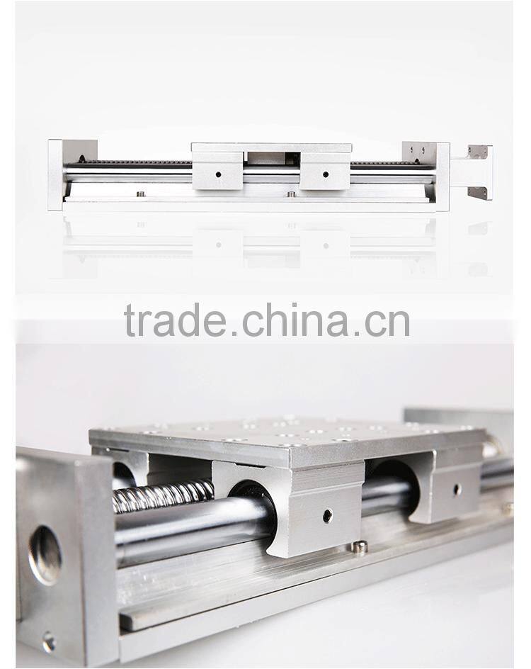 140kgs Load Capacity Double Linear Rail Ball Screw Type Linear Module Linear Stage YR-140S