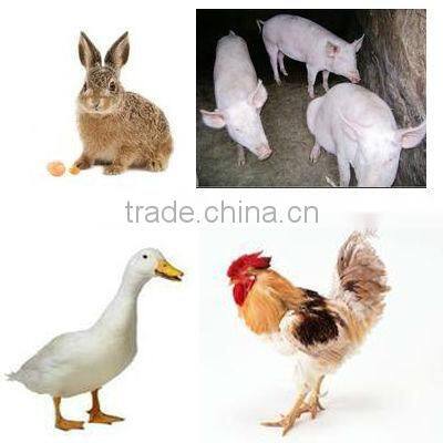 professional shrimp food extruding machine/fish feeding machines with good quality