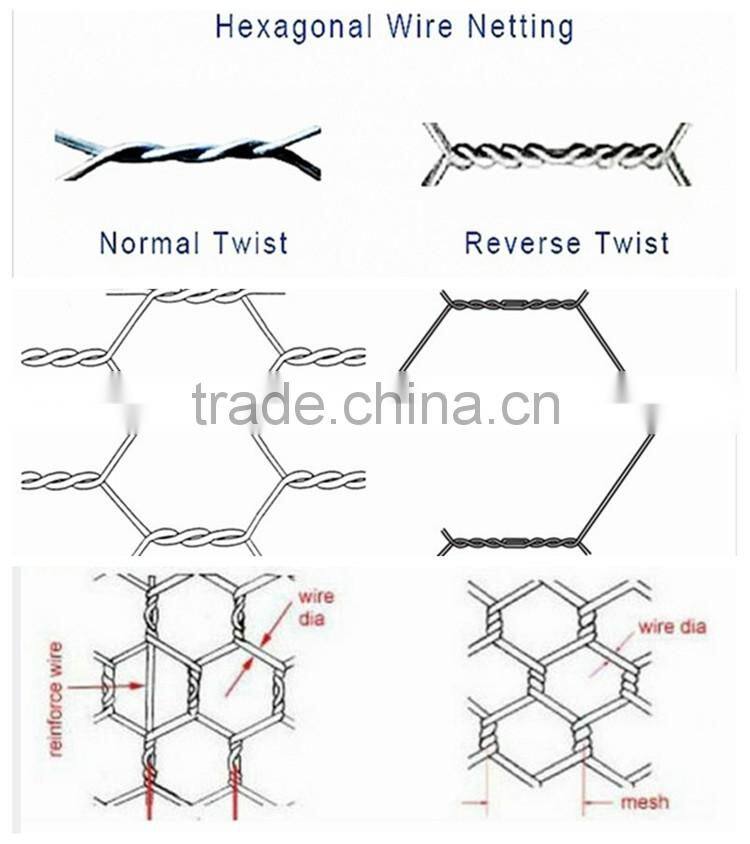 Hexagonal PVC Coated Chicken Wire Mesh