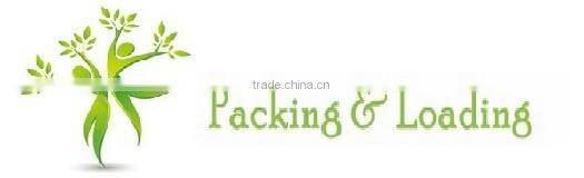 High grade leonardite potassium fulvate, potassium humate with fulvic acid shiny powder