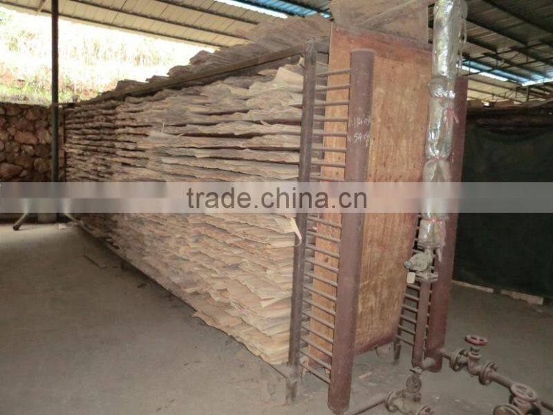 BEST SALES FOR EUCALYPTUS CORE VENEER