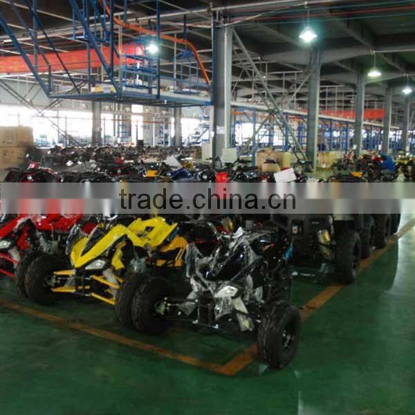 Chain Driven 110CC Adult Dune Buggies