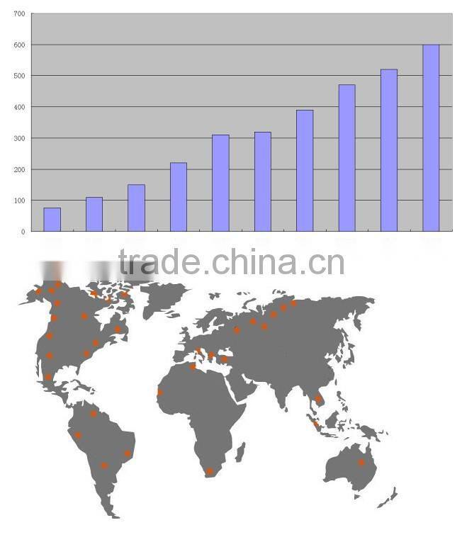 Everun CE Certificated 1.0ton Articulated Mini Shovel Loader