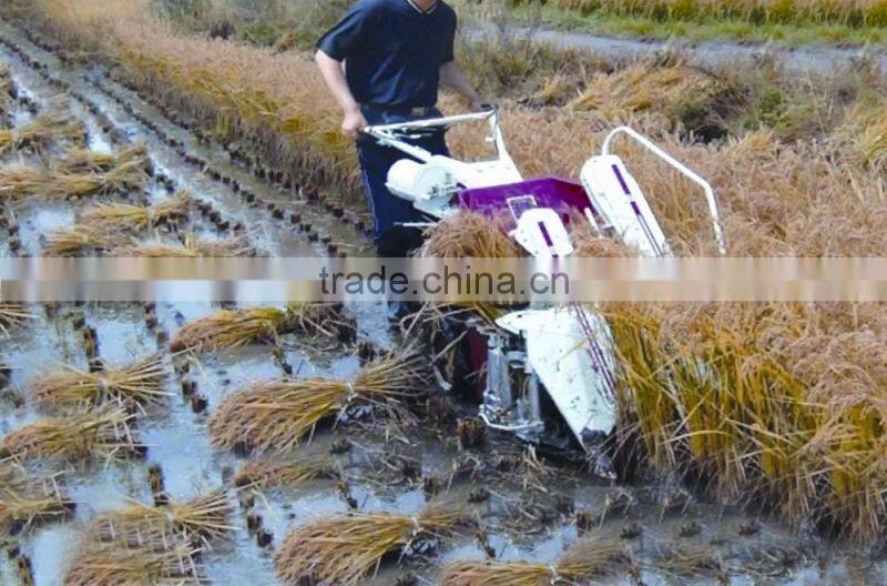 Agricultural mini wheat reaper binder