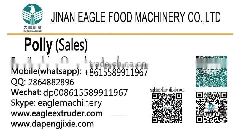 chips/nut Continuous Fryer