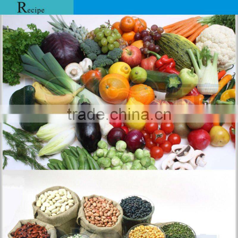 2013 Hot Promotional Soup Maker Blender with recipes,CE approval