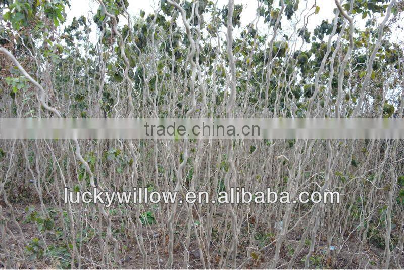 indoors decoration used artificial willow branches