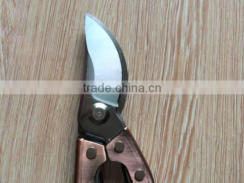 high-carbon steel scissorsr/prune saw