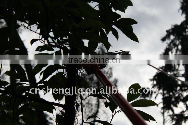 garden shear
