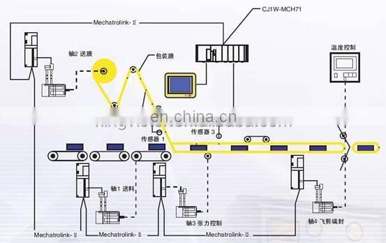 Low Cost Pillow Bag Dates Packaging Machine for Khalas Date