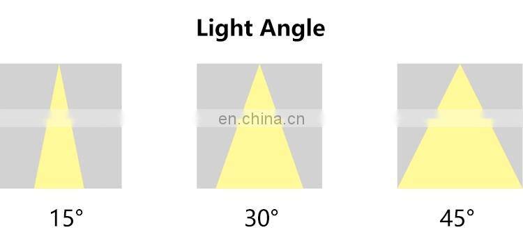 Commercial Anti Glare COB Aluminum Down Light Indoor Home Office 10W 2*10W 3*10W LED Linear Grille Lamp