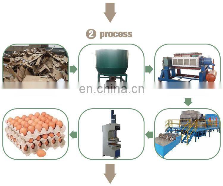 4000 pieces/h Egg tray pulp mold egg tray with lid production line support to customized