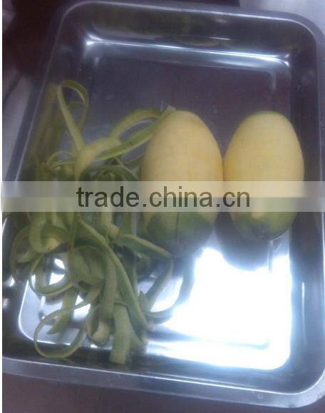 Good price pumpkin peeler/pineapple peeling machine/cantaloupe peeling machine