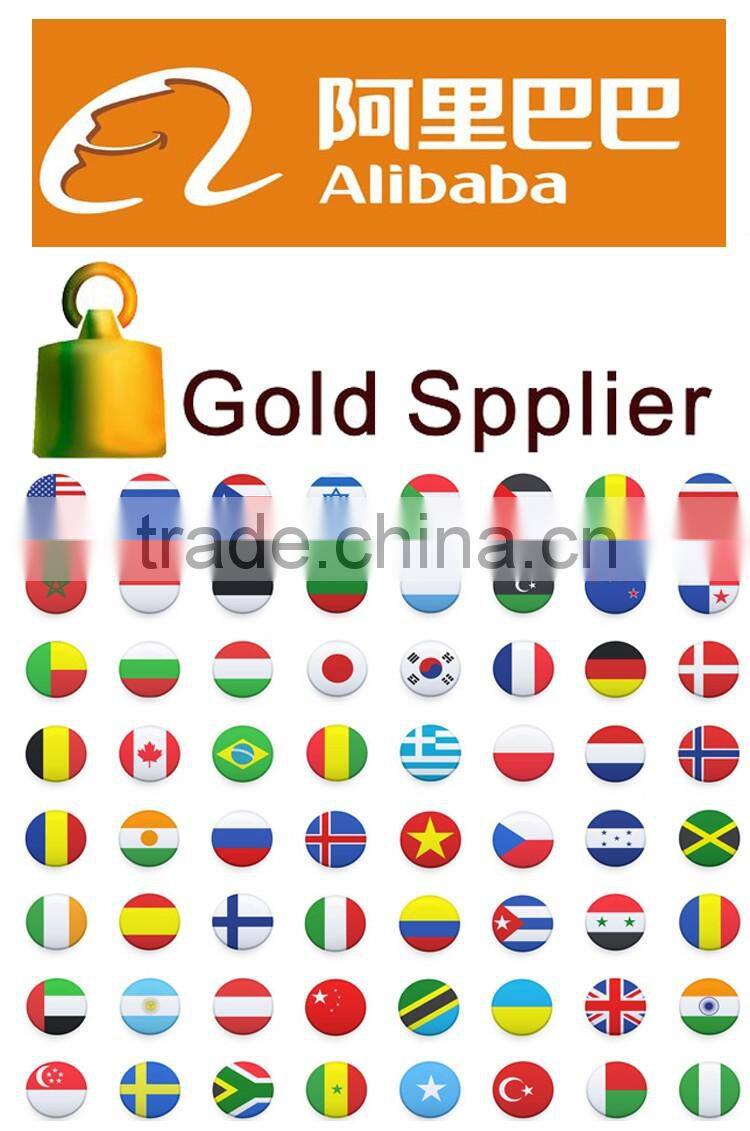 Export 15'' laptop backpack/custom logo laptop backpack/wholesale unisex backpack with laptop bag