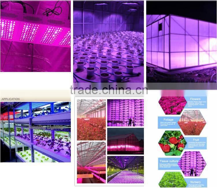 Alibaba best sellers full spectrum 300W led grow lights