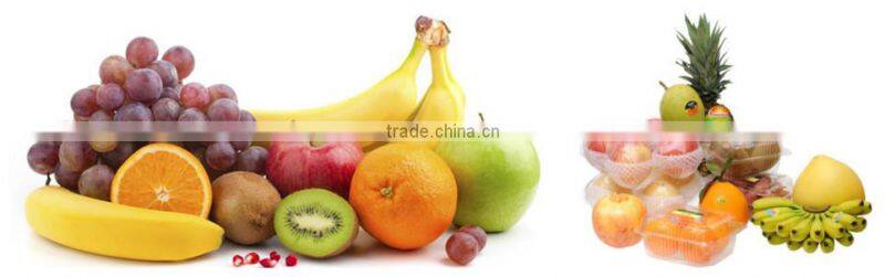 Disposable sushi plastic packaging with plastic cover lid